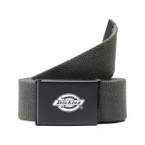 DICKIES ORCUTT BELT DK0A4X7EOGX-OGX OLIVE Image 