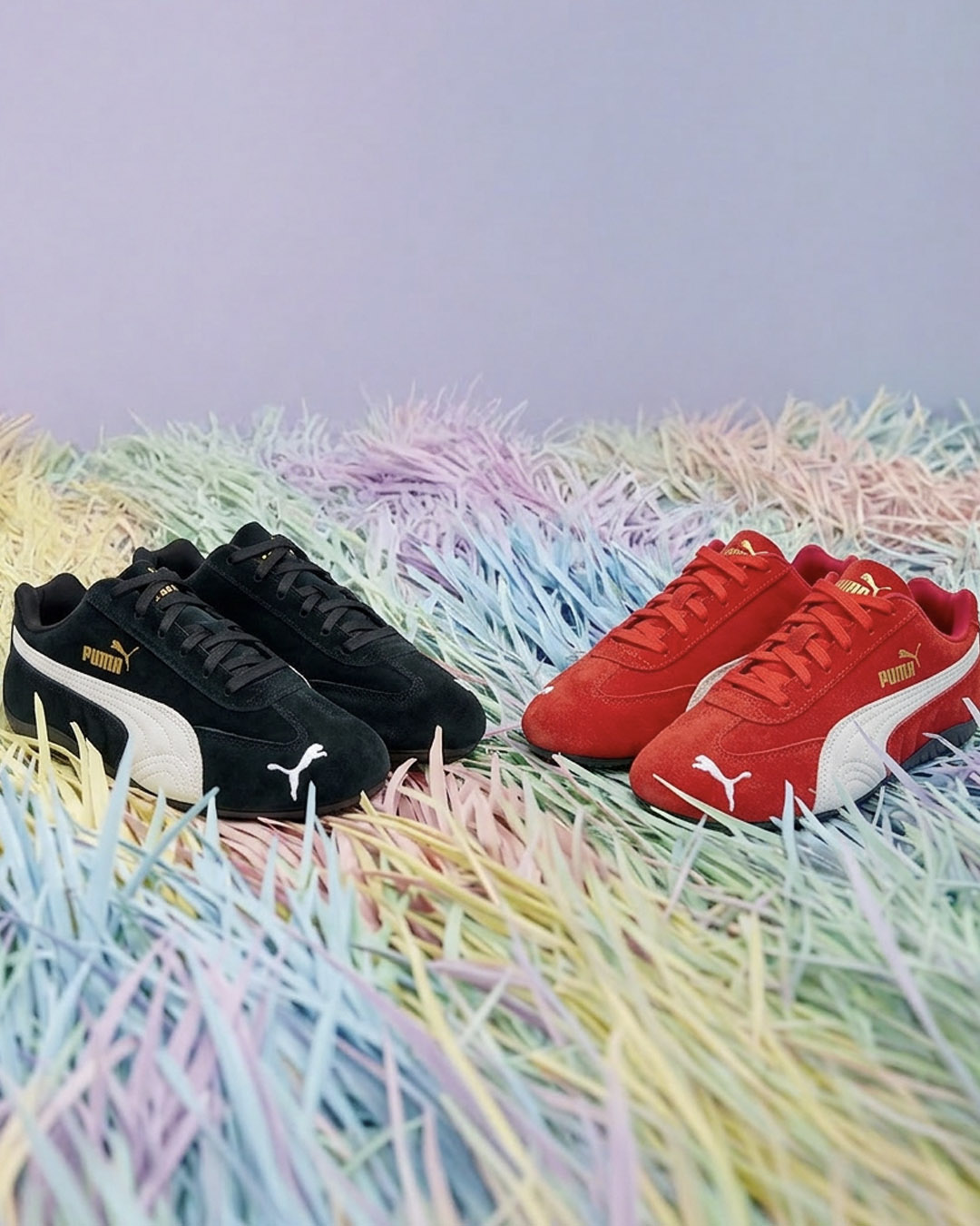 <i class="fas fa-star"></i>  Shop Now