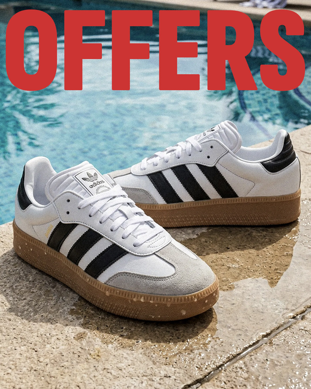 <i class="fas fa-star"></i>  Shop Now