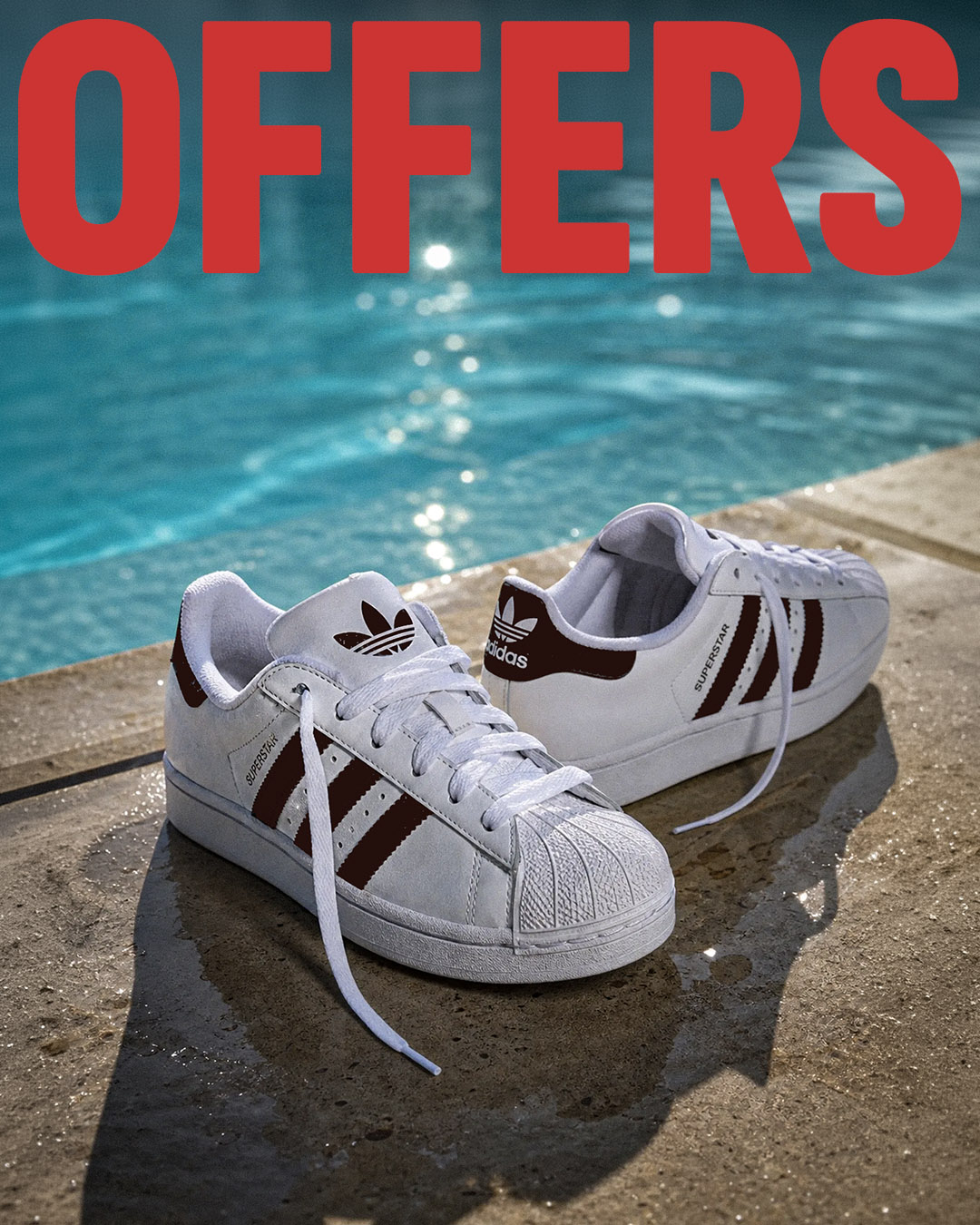 <i class="fas fa-star"></i>  Shop Now